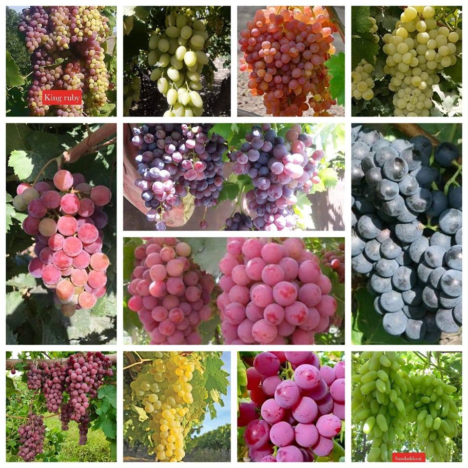 441497848_122107589900295576_5582053085973318717_n