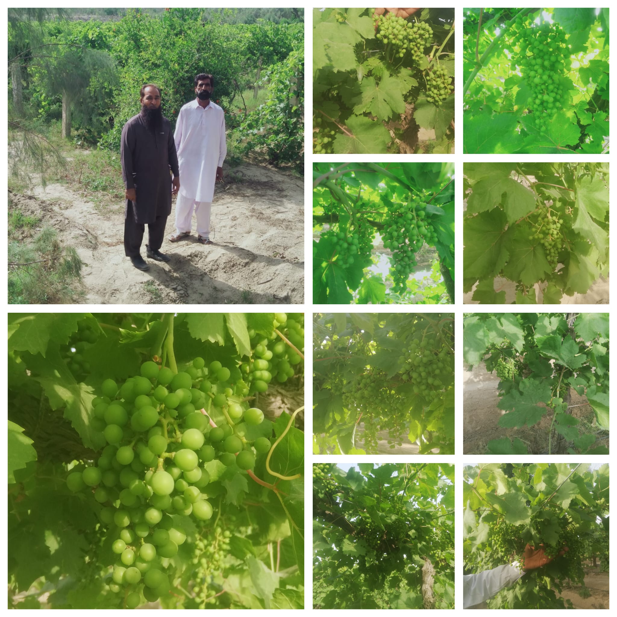 468789902_122152843022295576_2603676830104955777_n (1)