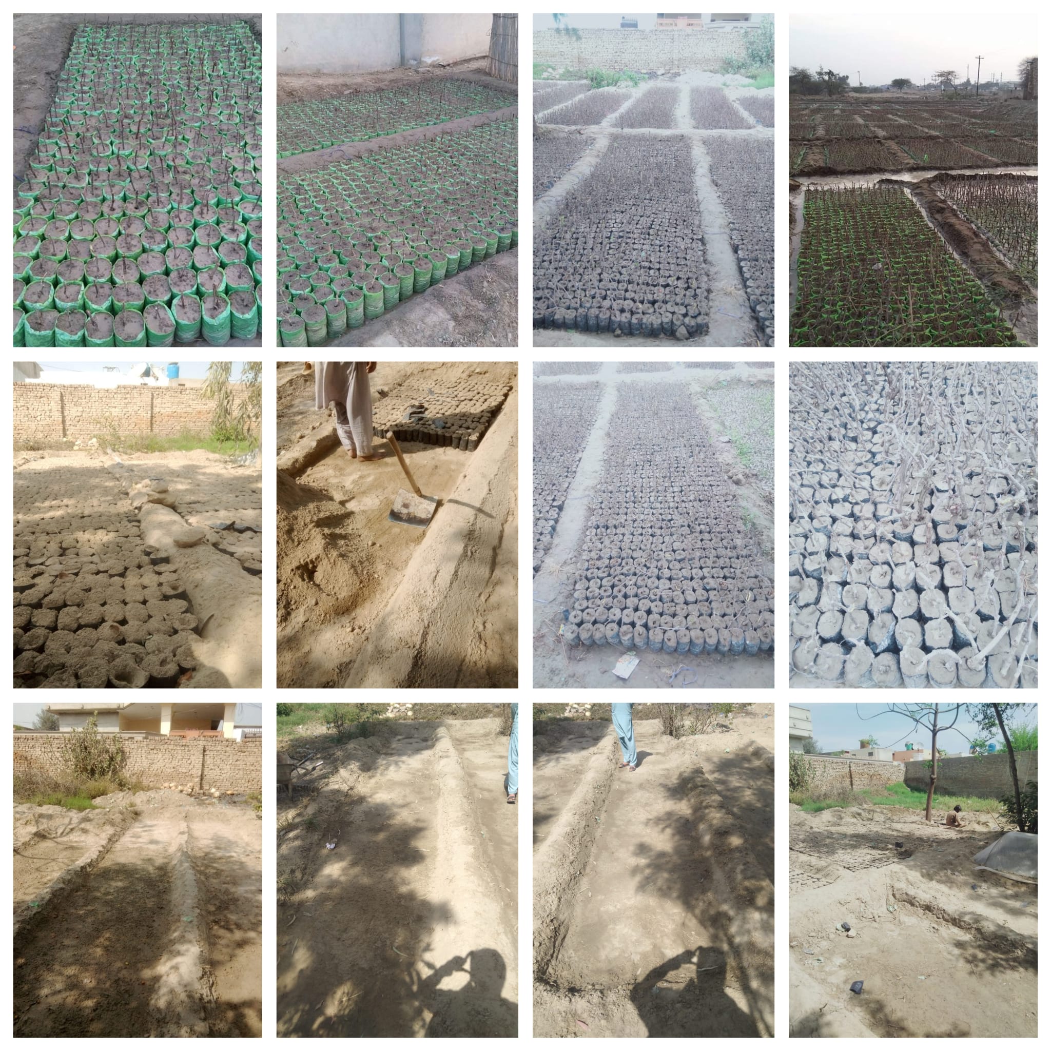 468934756_122152837820295576_5905850141140735783_n