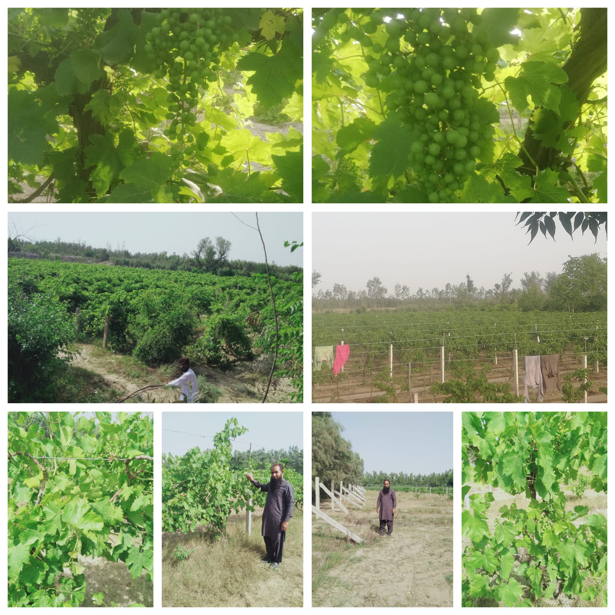 468943769_122152843094295576_905979106782671420_n (1)