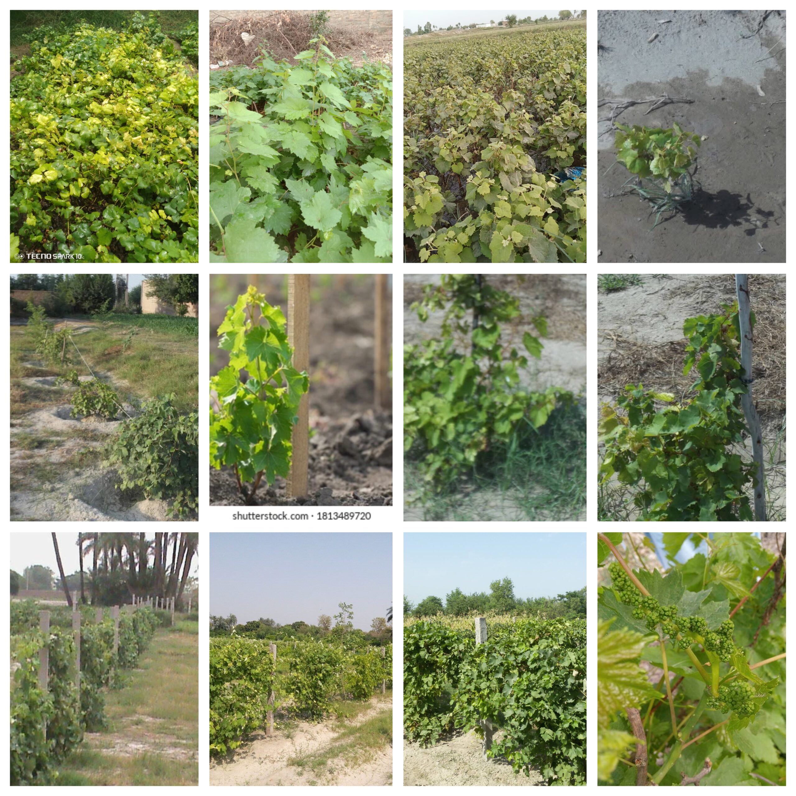 GridArt_20251227_091857888