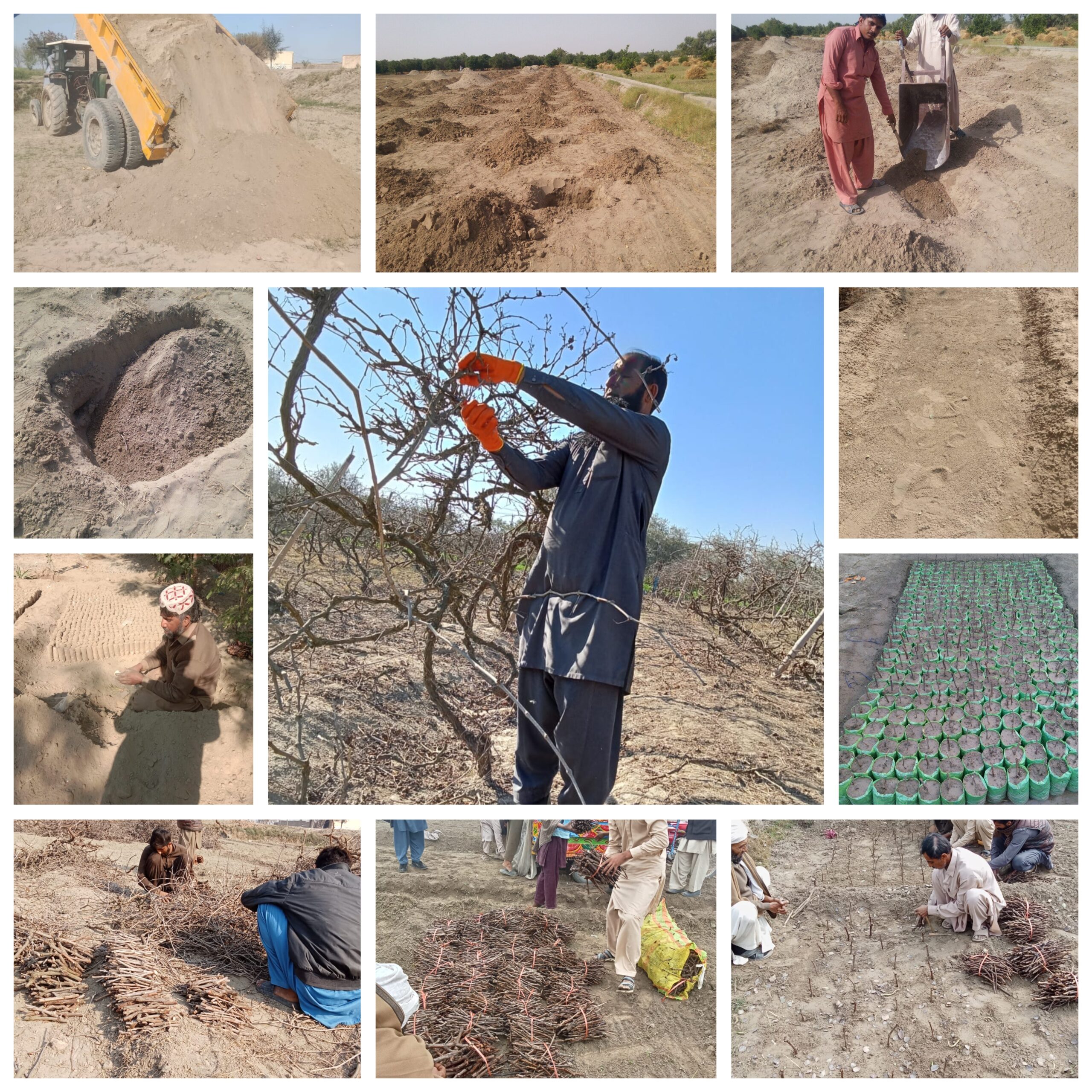 GridArt_20251227_092532106