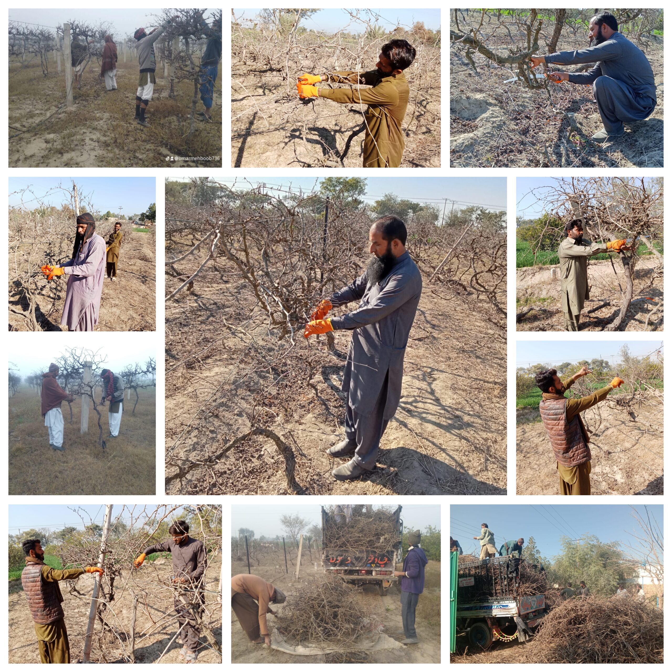 GridArt_20251227_093743805