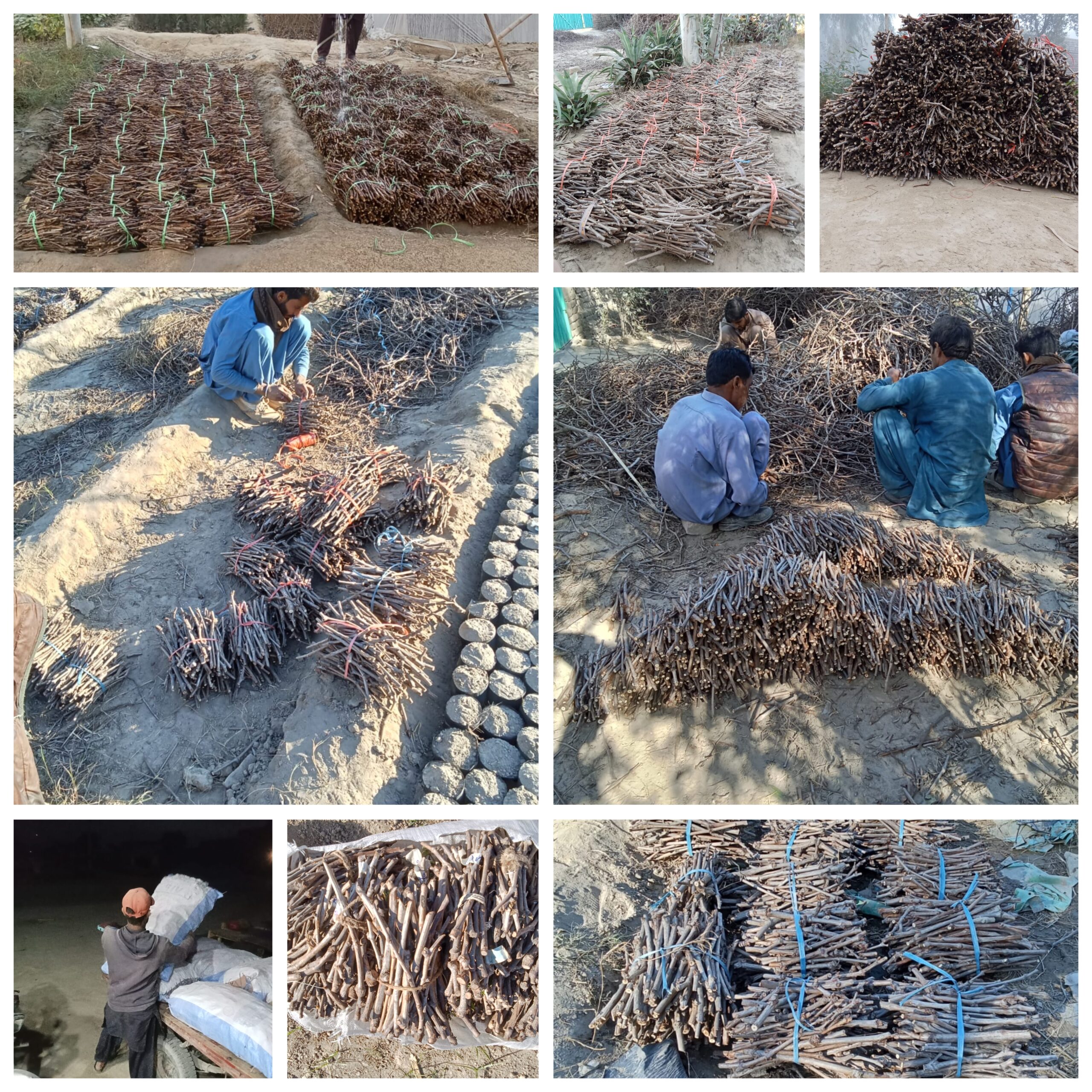 GridArt_20251227_094419755