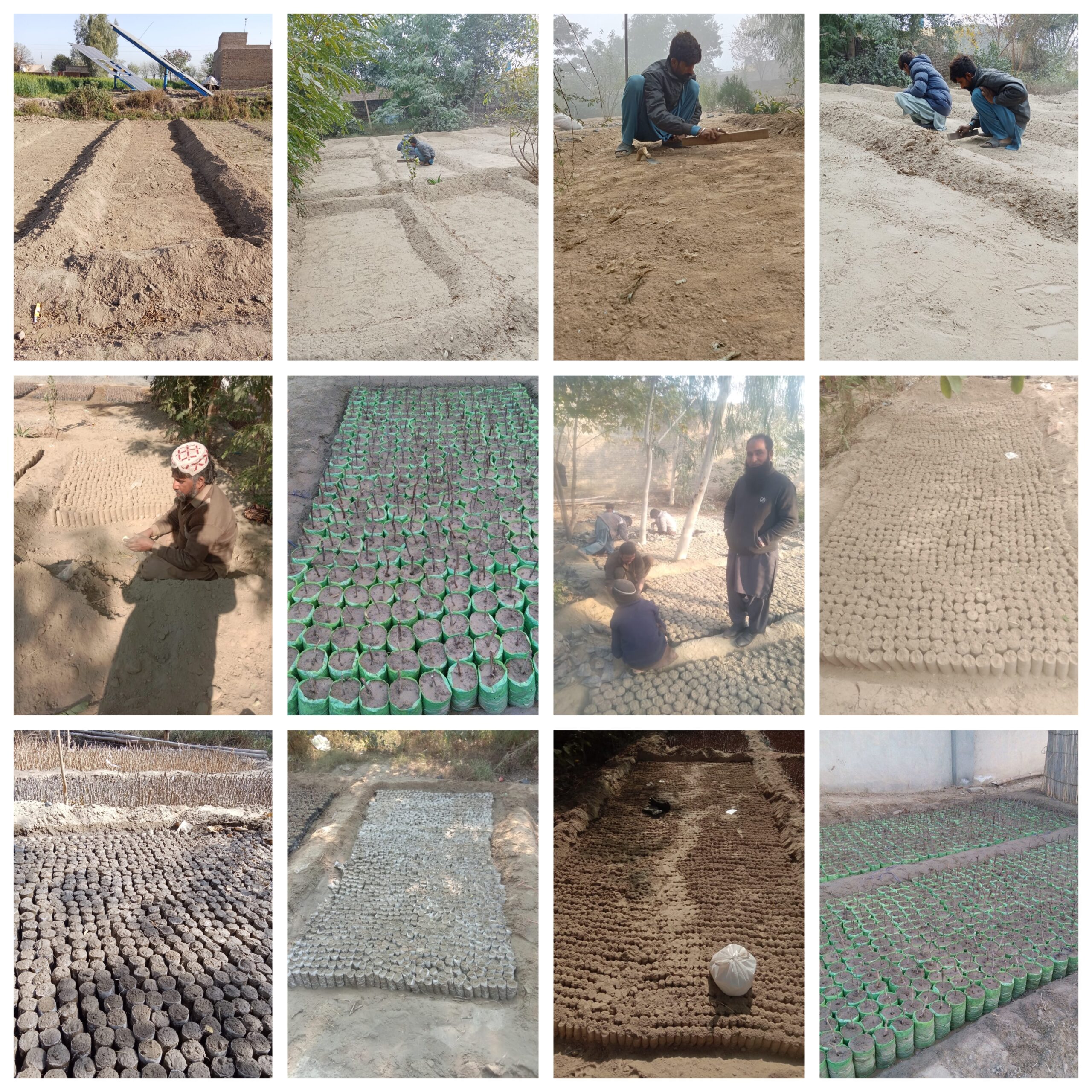 GridArt_20251227_100255459