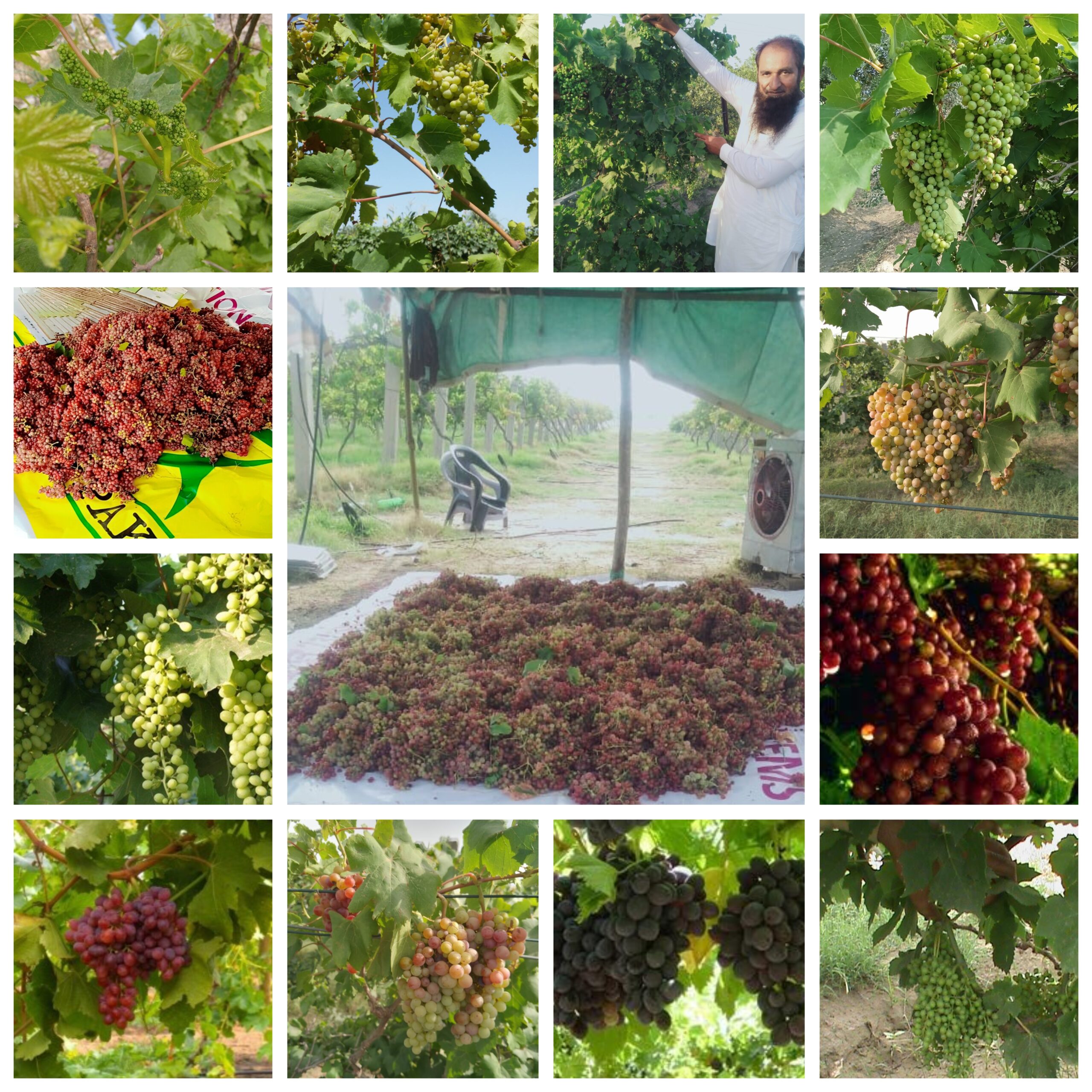 GridArt_20251227_101810425