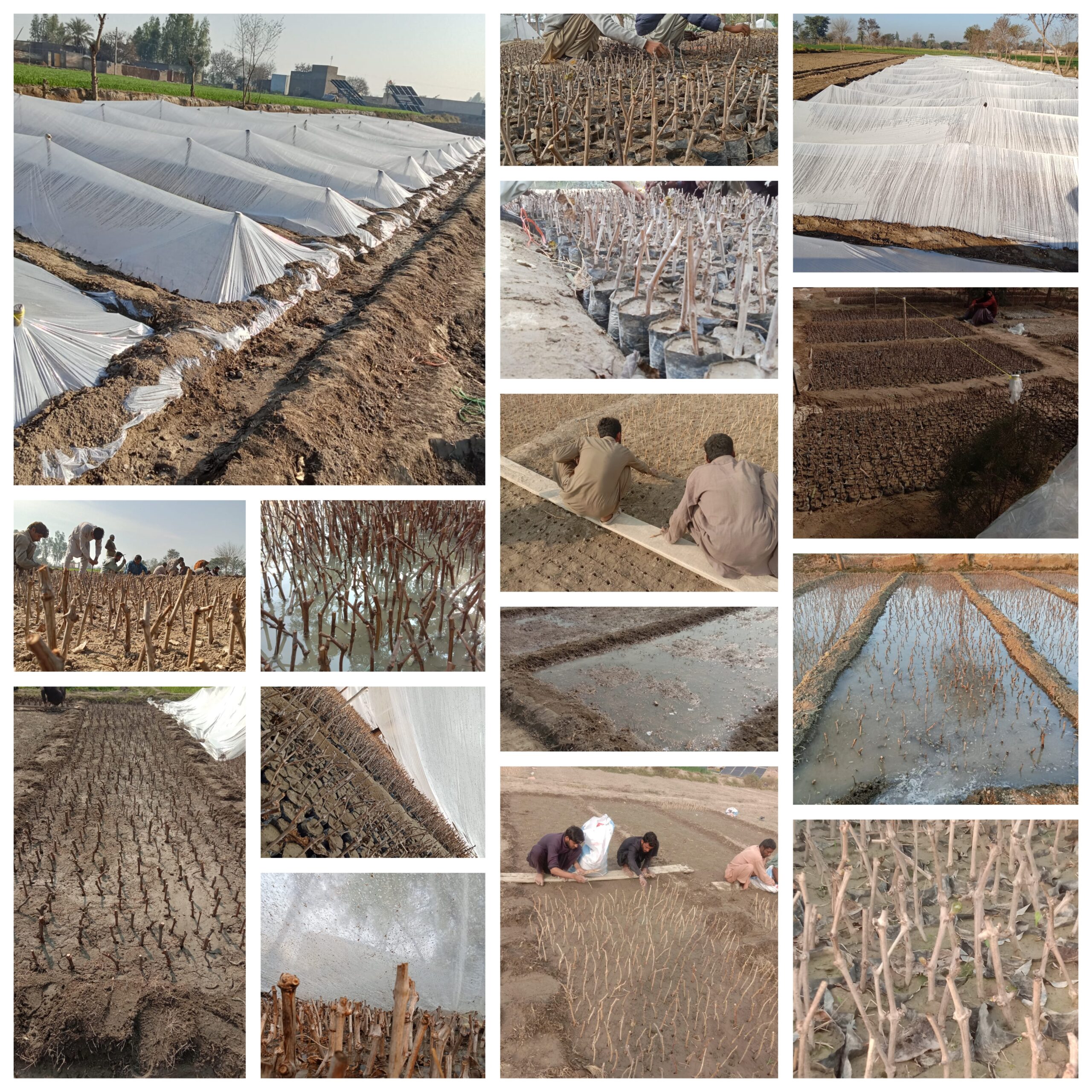 GridArt_20251227_102908817