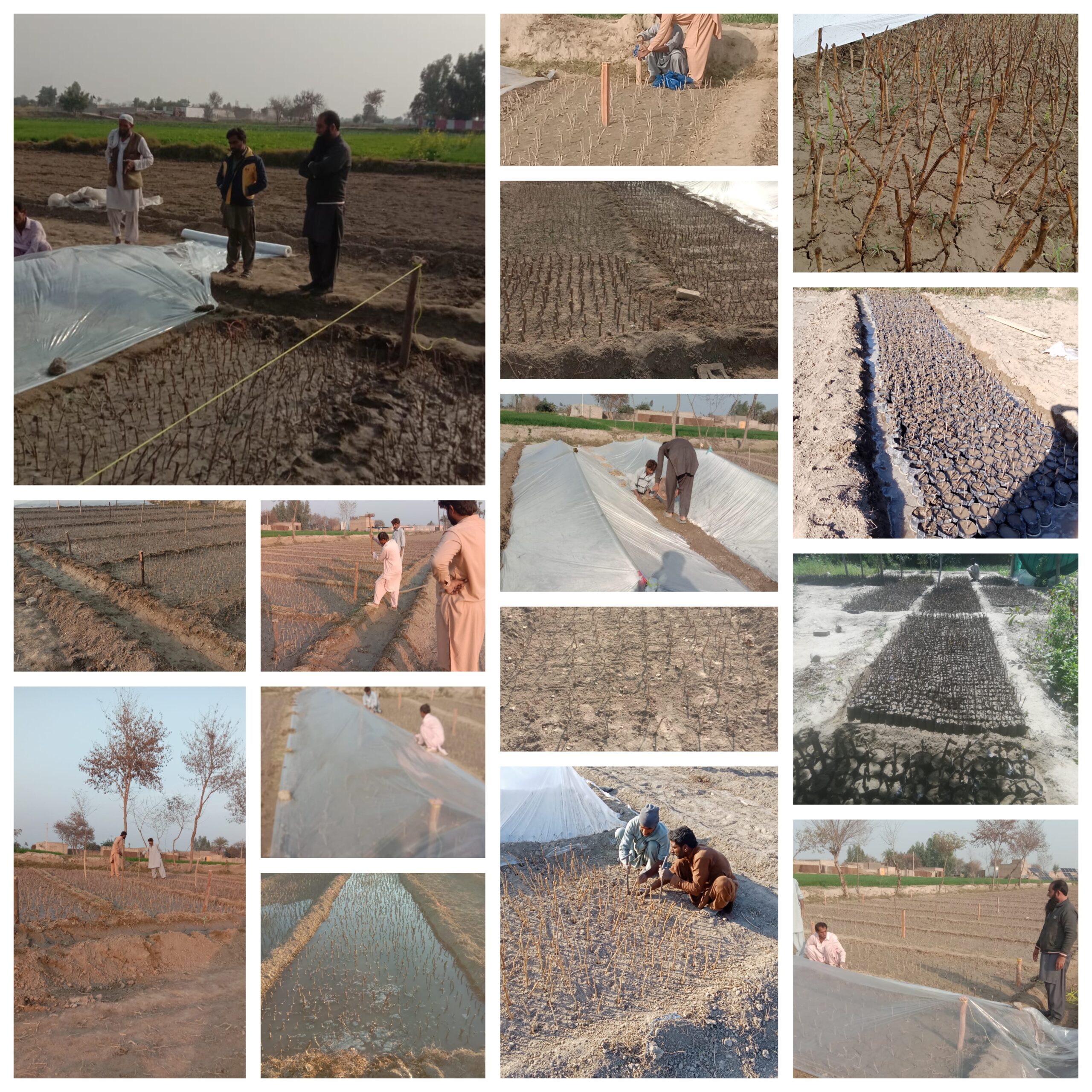 GridArt_20251227_103209383