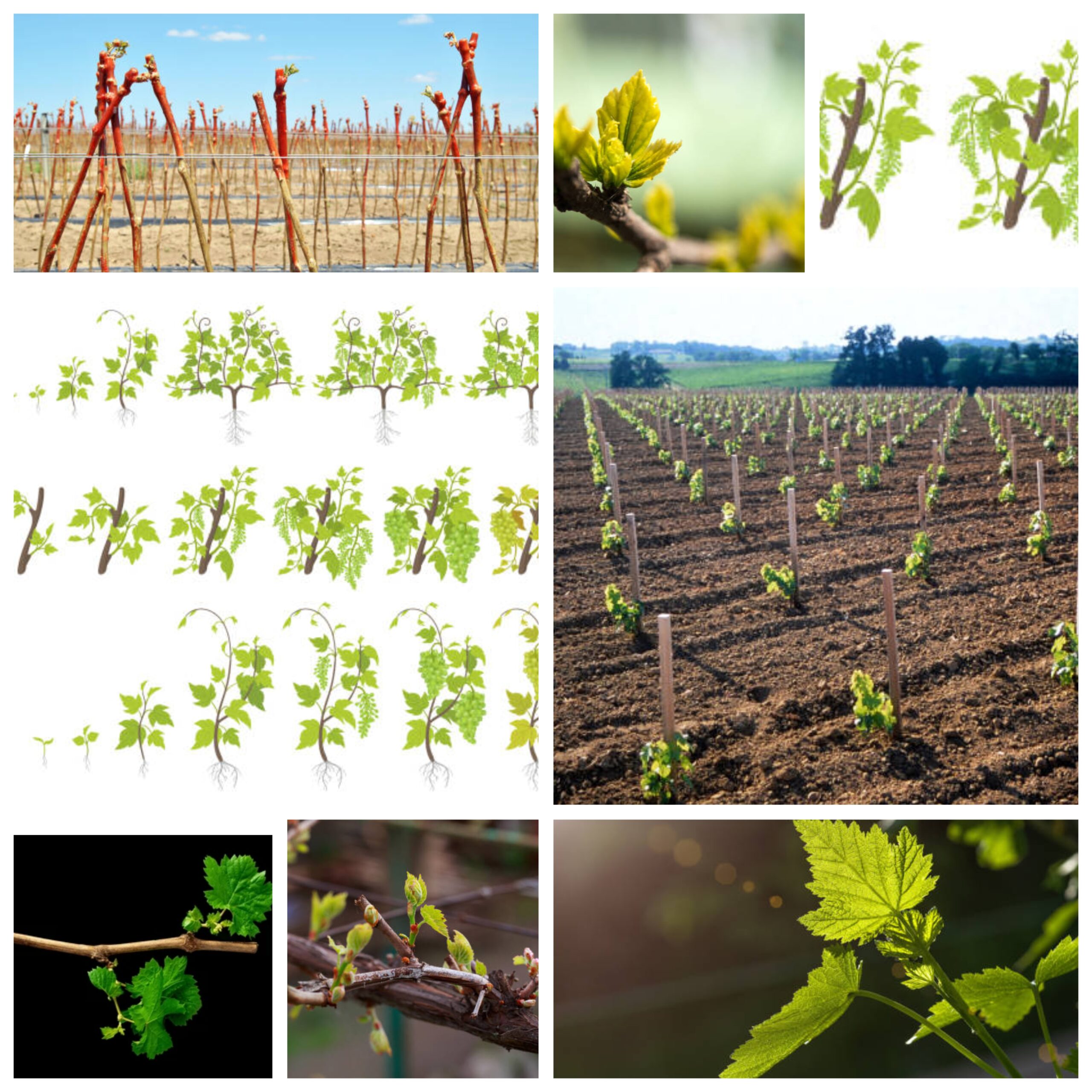 GridArt_20251227_105431117