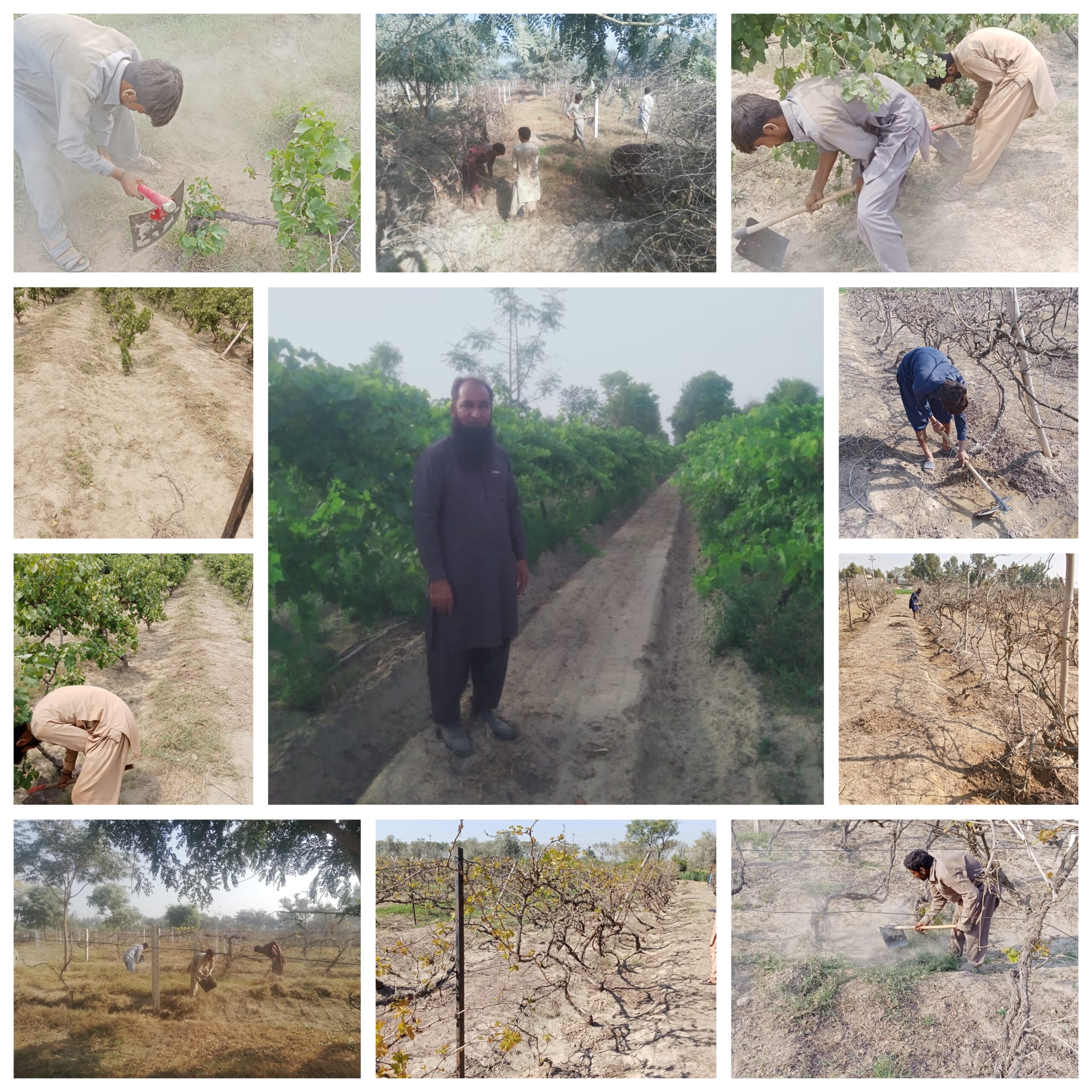 GridArt_20251227_112000963