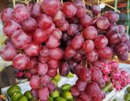 Red Globe Grapes - Image 2