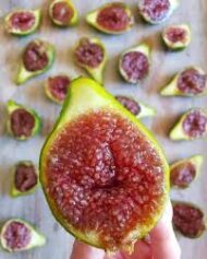 Korckey Honey Delight Fig - Image 2