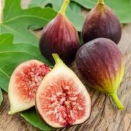 Brown Turkish Fig - Image 3