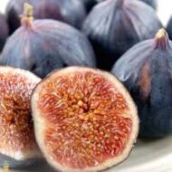 Brown Turkish Fig - Image 4