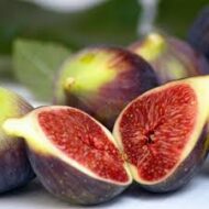 Brown Turkish Fig - Image 6